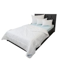 Přikrývka Kamilka LUX - letní přikrývka, 140x220, prodloužená 660 g - 140x220 cm prodloužená bílá