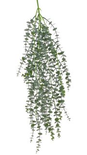 Převis eukalyptus 85 cm - tmavší zelená