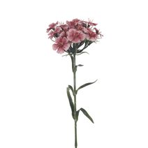 Hvozdík 55 cm X6858-05