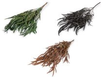 Stabilizovaný eukalyptus svazek