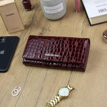 Černá kožená pánská dokladová taška / etue Gregorio