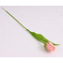 Umělý tulipán růžovozelený 371309-05 - 4 x 5 x 43 cm