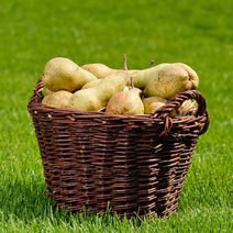 Koš piknikový bělený 054053-01 - 41 x 30 x 25/43 cm