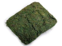 Dekorační přírodní mech 250 g