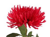 Umělá chryzantéma