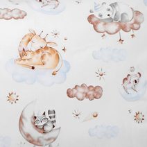 Látka - Bavlna Bílá,Béžová,Modrá 48/024 šířka 160 cm