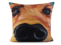 Sametový povlak na polštář pes, kočka 45x45 cm