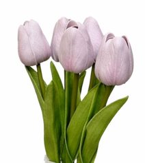 Svazek tulipánů (5 ks) - bílozelená