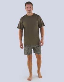 Pánské pyžamo krátké, s potiskem Pyžama 2019 79082P