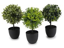 Umělý buxus v květináči