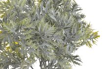 Buxus svazek - zelená 25 cm