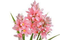 Umělá kytice Kalanchoe bílá 30 cm