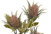 Buxus svazek - zelená 25 cm