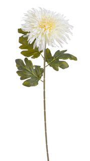 Chryzantéma 72 cm - bílá krémová