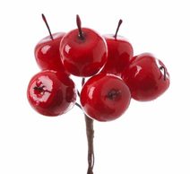 Jablíčka na drátku 6 kusů červené