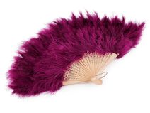 Vějíř péřový velký