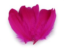 Husí peří délka 14-18 cm 10 kusů