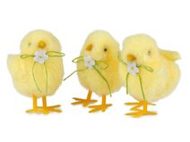 Velikonoční kuřátko