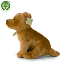 GREGORIO Kožená malá dámská crossbody kabelka červená