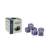 Vonný vosk LESNÍ BORŮVKA TG MRE-8507 - 4 x 4 x 4 cm