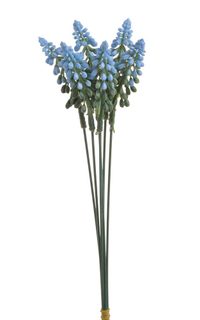 Modřenec kytice modrá 6 ks