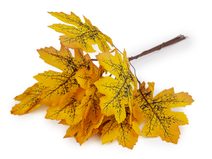 Umělé listy na drátku 10 ks