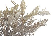 Dlouholistý ruscus trs 42 cm - šedohnědá tmavá