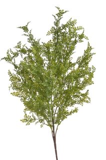 Umělá drobnolistá rostlina zelený trs