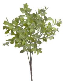 Dlouhý trs s listy 55 cm - zelená