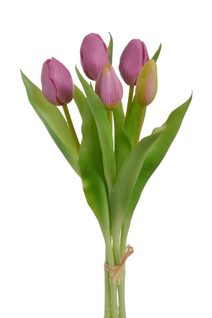 Svazek tulipánů 5 ks - růžová