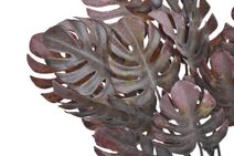 Dlouholistý ruscus trs 42 cm - šedohnědá tmavá