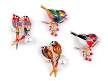 Brož s broušenými kamínky ptáček, papoušek