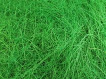 Sisal 50 g přírodní