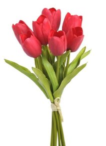 Kytice červených tulipánů 7 kusů