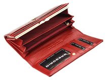 Černá kožená pánská dokladová taška / etue Gregorio