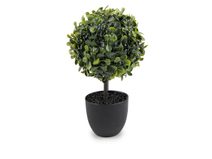 Umělý buxus v květináči