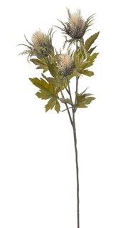 Umělý bodlák s listy - krémová 67 cm