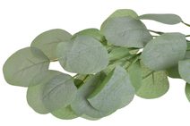 Umělá girlanda - vinná réva 194 cm - zelená