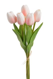 Tulipán pěnový (5 ks) - růžová/bílá