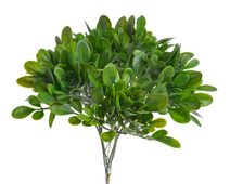 Buxus svazek - zelená 25 cm