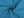 Letní softshell (12 (542) modrá tyrkys)