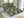 Bavlněné francouzské povlečení 220x200, 2ks 70x90 cm (220 cm šířka x 200 cm délka) hnědé paprsky