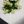 Ubrus Gastro Klasik Flora - bílý 120x140 cm