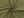 Oděvní soft fleece METRÁŽ (13 (107) (260 g/m²) zelená sv. khaki)
