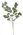 Eukalyptus mini trs 30 cm - zelená světlá