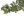 Umělá girlanda ruscus 150 cm - zelená