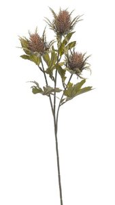Umělý bodlák s listy - hnědá 67 cm