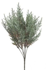 Větvička túje - zelenošedá