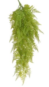 Kapradí převislé trs 9 větviček - zelená