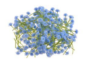 Gypsophila - šater - květy stonek 4 cm - modrá